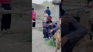 Kia Titli mela par ja pae gi 🥺🥺youtubeshorts alibaloch youtube [upl. by Darice]