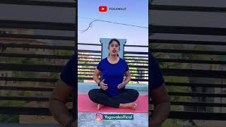 How to Do Bhastrika Pranayama  Yoga Pranayama  Yogasana  Exercise  Yogawale [upl. by Ona]