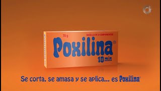 POXILINA Argentina 2021 [upl. by Adlecirg]