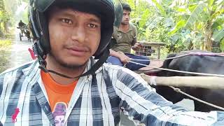 💐🌹🌹 ঘোড়াগাড়ি 💐🌹💐🌹 Daren comedysong reels song videos [upl. by Digirb]