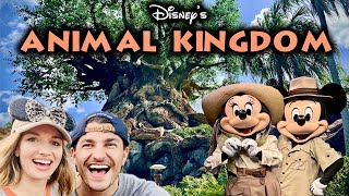 Disneys ANIMAL KINGDOM  Dinoland USA  Pandora [upl. by Kaule]