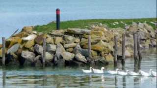 ISOLA MAGGIORE del LAGO TRASIMENO Umbria  Full HD [upl. by Fleda]