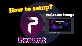 How to setup welcome image  ProBot  Discord [upl. by Hilarius]