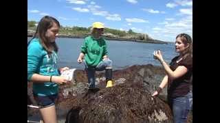 Field trip to the Rocky Shore [upl. by Kakalina638]