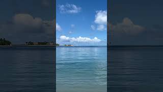 Sea Plane Landing between 2 islands 🇲🇻 shorts [upl. by Abshier902]