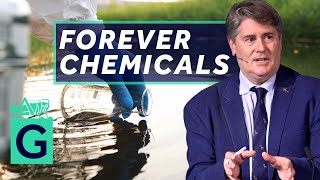 Living With the Forever Chemicals  Dr Ian Mudway [upl. by Amyaj]