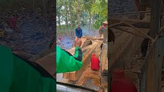 KAYU JATI usia puluhan Tahun‼️ Gergaji mesin serkel rakitan [upl. by Iphlgenia168]