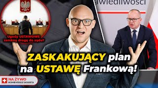 Ministerstwo bierze się za SPRAWY FRANKOWE Ustawa dla SĄDÓW BANKÓW czy FRANKOWICZÓW [upl. by Forta]