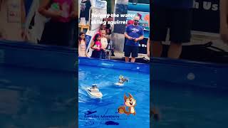 Twiggy The Water Skiing Squirrel  Fort worth MayFest 2024  DFW Events  Texas adventures [upl. by Lidah]