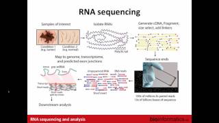 Introduction to RNA Sequencing [upl. by Briscoe]