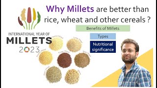 Why millets are better compared to rice wheat corn or other cereals Health Benefits of millet [upl. by Naval]