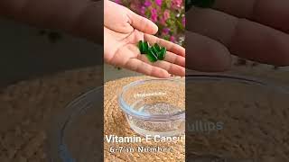 Vitamin E oil and Coconut oil for hair growth shorts hairgrowth [upl. by Yrelav]