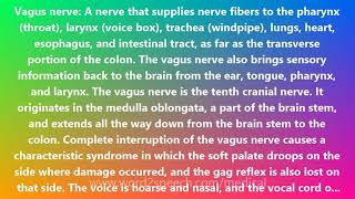 Vagus nerve  Medical Meaning and Pronunciation [upl. by Ednutabab]