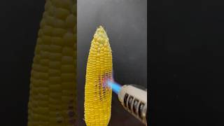 Powerful Lighter vs Corn [upl. by Leviralc]