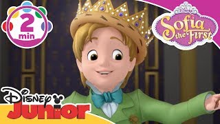 Sofia The First  King For A Day  Be Your Own King  Song  Disney Junior UK [upl. by Ailemaj100]