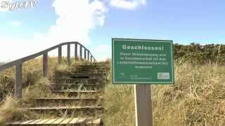 Renaturierung einer Strandtreppe in Rantum auf Sylt [upl. by Westmoreland181]