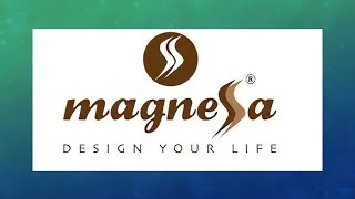 MagneSSa 11 ways of income [upl. by Aerdnahc746]