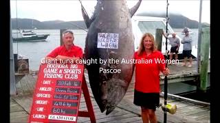 Top 10 big fish catch Biggest catfish ever caught [upl. by Tolmann]