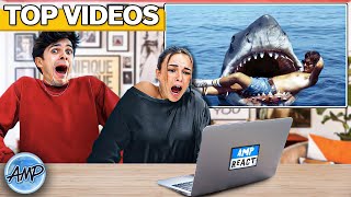 Amp World REACTS To Most Viral Videos  Amp World [upl. by Bowra]