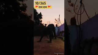 10365 Din Bramhacharya 🔥🔥🚩🙏 shorts sachusenji sen shortsvideo instagram kamlesh [upl. by Ettie]