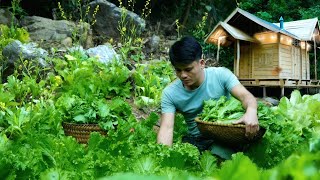 12 months living off grid  Harvest vegetables to sell making pickles to preserve longtime [upl. by Aiciruam]