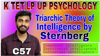 TRIARCHIC THEORY OF INTELLIGENCE BY STERNBERG ട്രയാർകിക്ക്‌ സിദ്ധാന്തംK TET LP UP PSYCHOLOGY [upl. by Phaedra912]