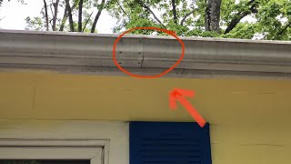 How To Repair Leaky Gutter [upl. by Derwin568]