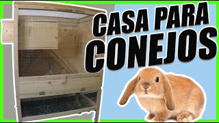 🐰Aprende cómo Crear CASA o JAULA para Tus CONEJOS [upl. by Ahkihs531]