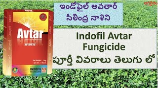 Indofil Avtar Fungicide in Telugu  ఇండోఫైల్ అవతార్ సిలింద్ర నాశిని  zineb  Hexaconazole [upl. by Atselec]