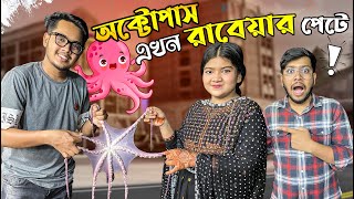 অক্টোপাস এখন রাবেয়ার পেটে 🐙 রাবেয়া জীবনের প্রথম Octopus খেলো 😄 BEST SEAFOOD IN DHAKA  Zisan Zahid [upl. by Melisande]