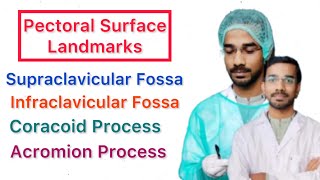 Pectoral Surface Landmarks  Clavicular Fossa  Coracoid Process  Acromion Process [upl. by Auohs972]