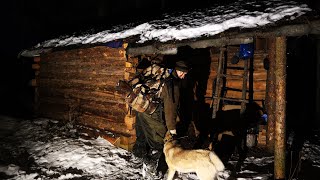 ВОЛКИ ШТОРМОВОЙ ВЕТЕР НОЧУЮ В БЛИЖНЕЙ ИЗБЕ ОХОТА НА БОРОВУЮ ДИЧЬ [upl. by Gertrude]