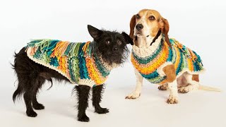 Crochet Happy Camper Dog Coat [upl. by Seraphim]