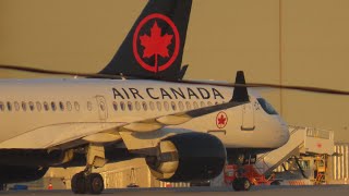 Toronto Pearson International Airport Plane Spotting Oct2024 [upl. by Tisha]