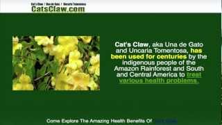 Explore The Amazing Health Benefits Of Cats Claw [upl. by Edrea]