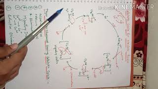 Oxidation of Olefins Wackers Process [upl. by Ardnalak637]