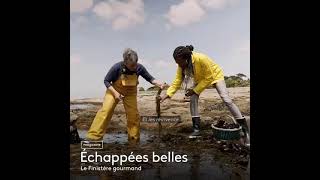 BANDE ANNONCE ECHAPPEES BELLES FINISTERE GOURMAND [upl. by Ayahsey274]