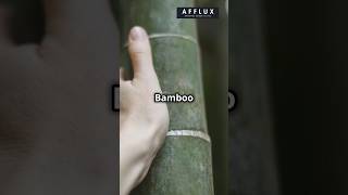 Why Bamboo Clothing is the Future of Sustainable Fashion Afflux BambooClothing BambooClothes [upl. by Nerita]