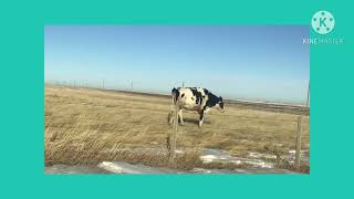 Claresholm alberta Canada Hutterite colony [upl. by Aseek112]