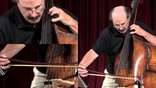 Mahler Symphony 1 double bass solo [upl. by Floridia]