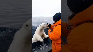 🐻‍❄️ Tiny Polar Bears Heartwarming Rescue 😍 PolarBearRescue WildlifeConservation arcticanimals [upl. by Nelram935]