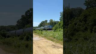 Amtrak P42DC 199 Leads P194 amtrak passenger train railfan trainspotting [upl. by Itraa]