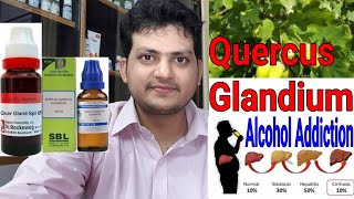 Homeopathic medicine for Alcohol Addiction amp Alcohol withdrawal  Quercus Glandium [upl. by Audsley270]