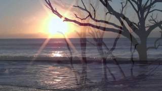 Magnificent Sunrise Botany Bay SC [upl. by Mike]