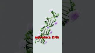 Video Title What is DNA and How Does It Work  Explained in 1 Minute nature dna science [upl. by Trevorr]