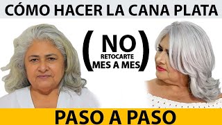 Como hacer la cana PLATA paso a paso  BETTY LAZCANO [upl. by Arratahs]