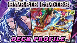 Harpie Ladies DECK PROFILE  YUGIOH RUSH DUEL [upl. by Michale]