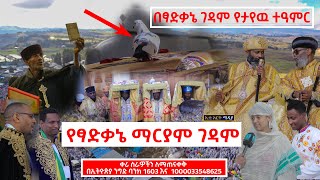 በፃድቃኔ ማርያም የታየዉ ተዓምር…እርግቧ በታቦቷ… የህዝብ ማዕበል የታየበትTsadkane Mariam monastery [upl. by Uzziel901]