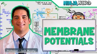 Neurology  Resting Membrane Graded Action Potentials [upl. by Eboh743]