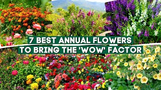 7 Best Annual Flowers and Plants to Bring the Wow Factor 🌻✨🌹 [upl. by Yentruocal217]